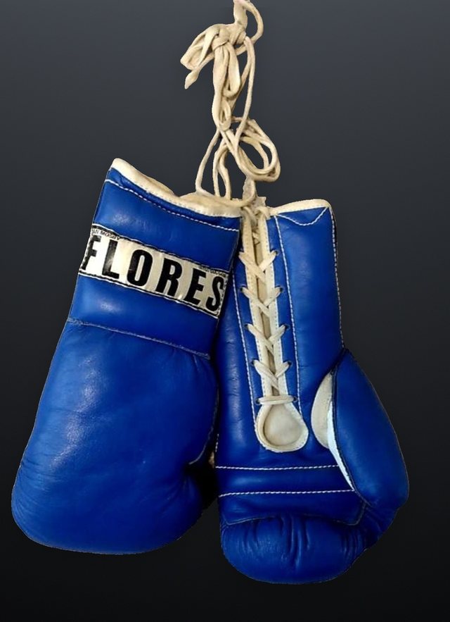 Blue FLORES boxing gloves showing the triple-cuff padded design.